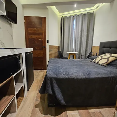 Design Cozy Loft In Condesa Apartment